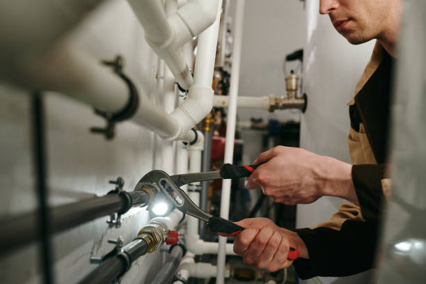 Best Plumbing Inspection Services  in Mcewen, TN