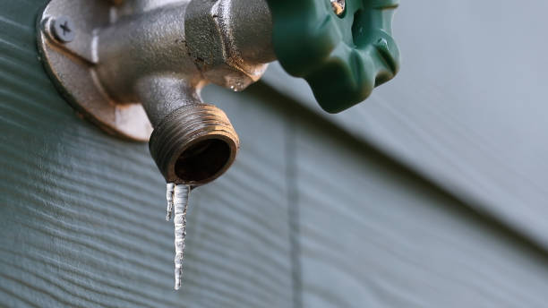 Best 24-Hour Plumber Near Me  in Mcewen, TN