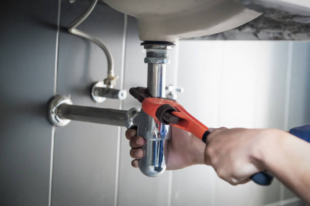 Best Local Plumber Services  in Mcewen, TN