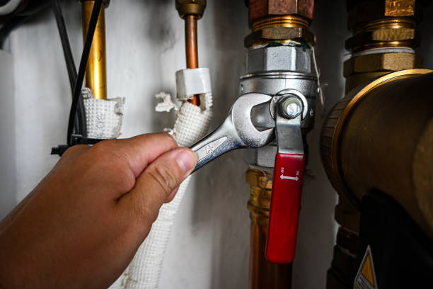 Best Emergency Plumbing Repair  in Mcewen, TN